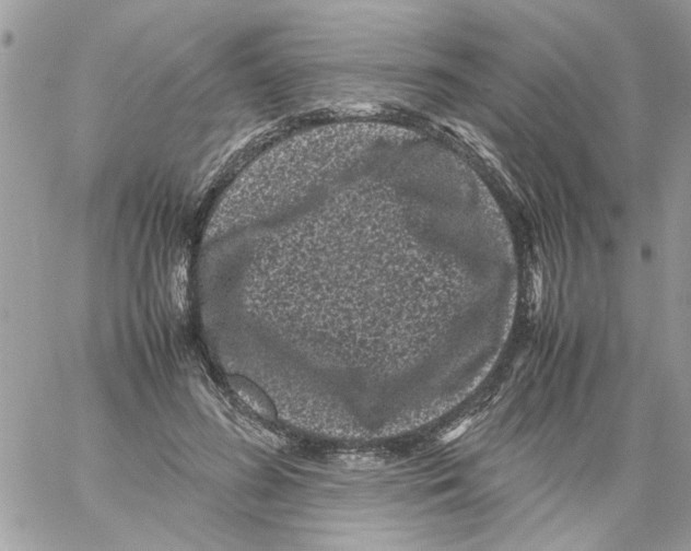 X0000061760596200512302305