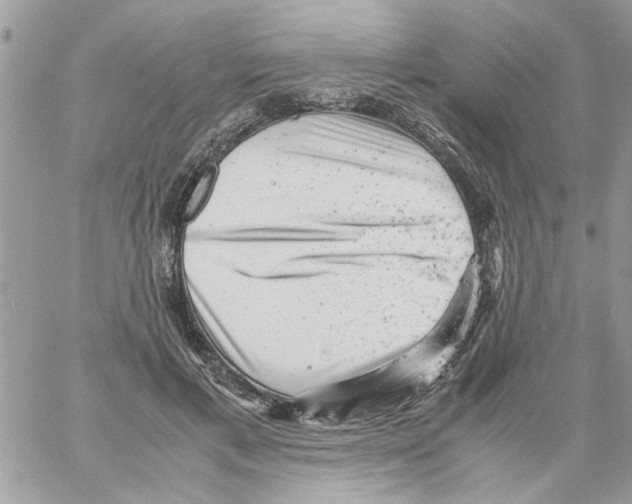 X0000061760597200512302305