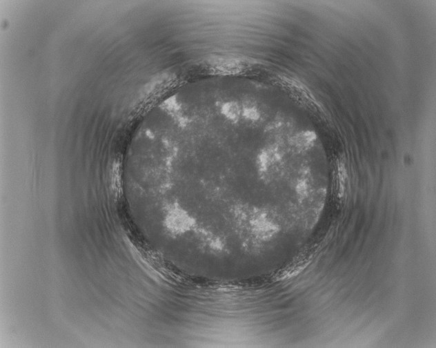 X0000061760598200512302305