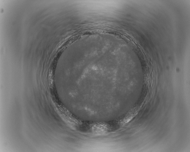 X0000061760599200512302305