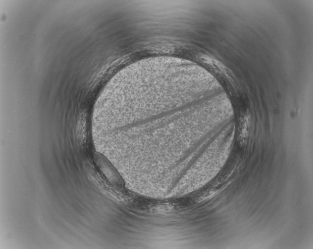 X0000061760600200512302305