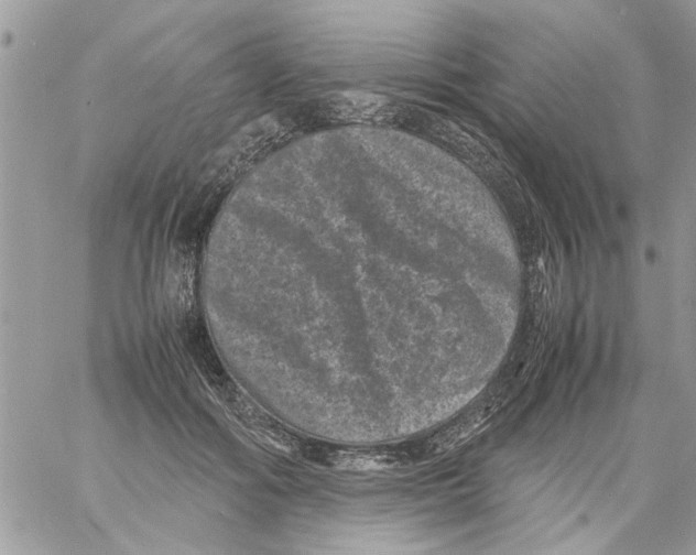 X0000061760602200512302305