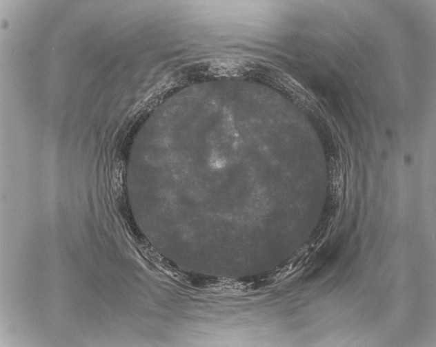 X0000061760603200512302305