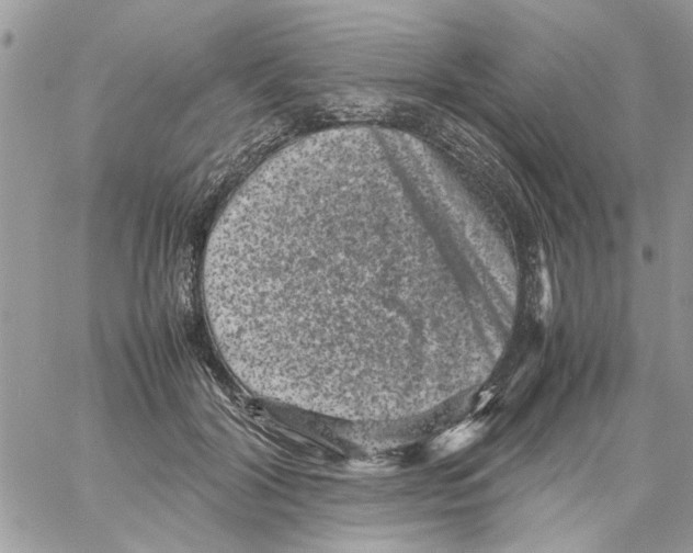 X0000061760604200512302305