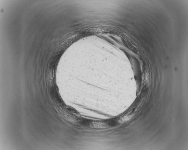 X0000061760605200512302305