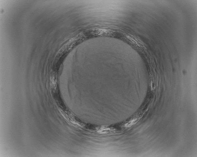 X0000061760607200512302305