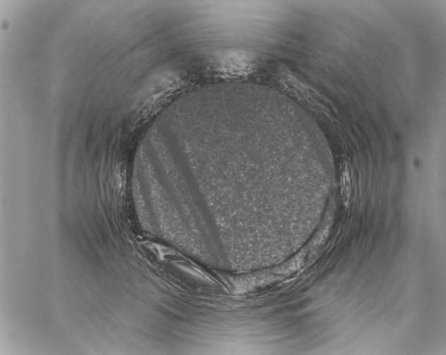 X0000061760608200512302305