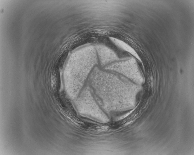 X0000061760609200512302305