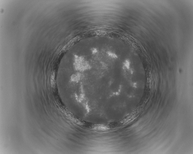 X0000061760610200512302305