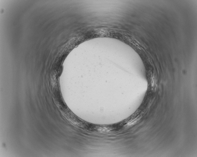 X0000061760611200512302305