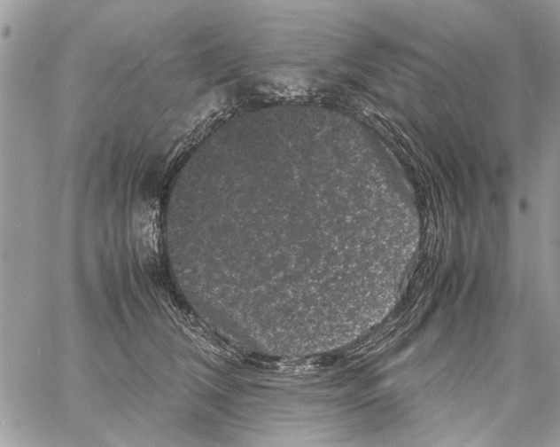 X0000061760612200512302305