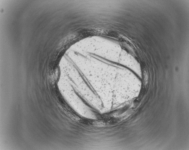 X0000061760613200512302305