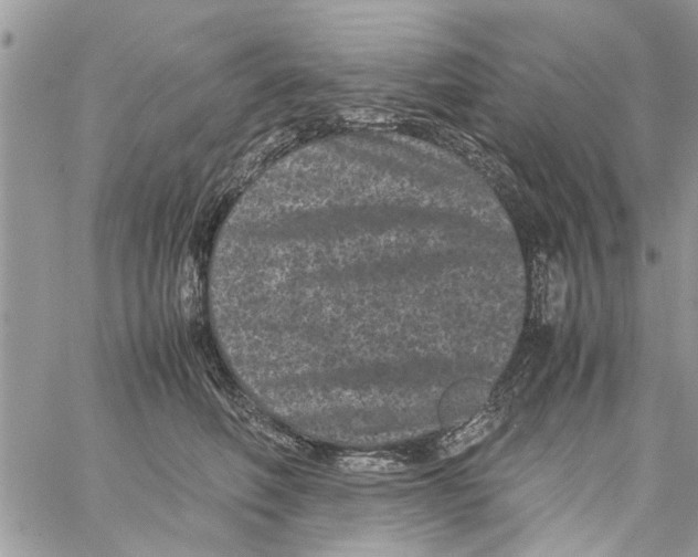 X0000061760614200512302305