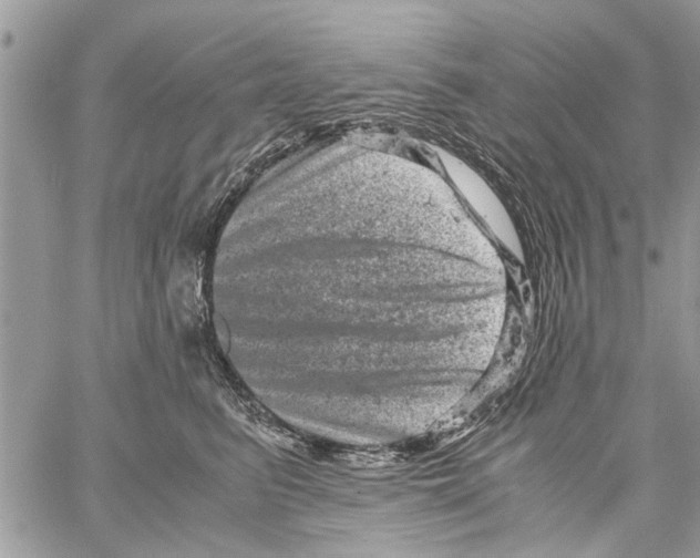 X0000061760615200512302305