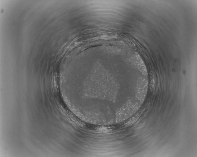 X0000061760616200512302305