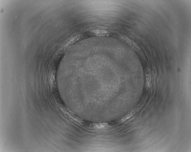 X0000061760618200512302305