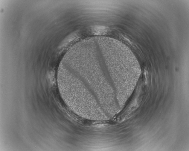 X0000061760620200512302305