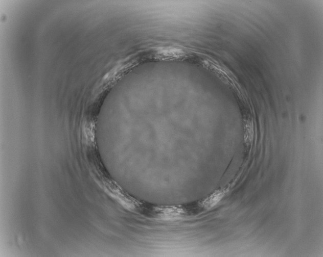 X0000061760621200512302305