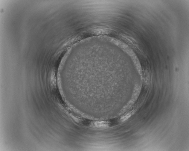 X0000061760622200512302305