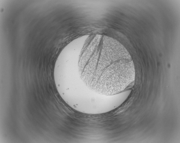 X0000061760624200512302305