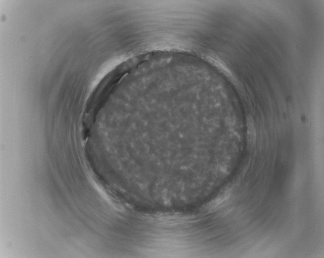 X0000061760626200512302304