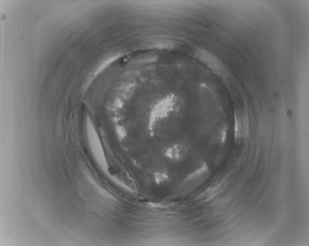 X0000061760627200512302304