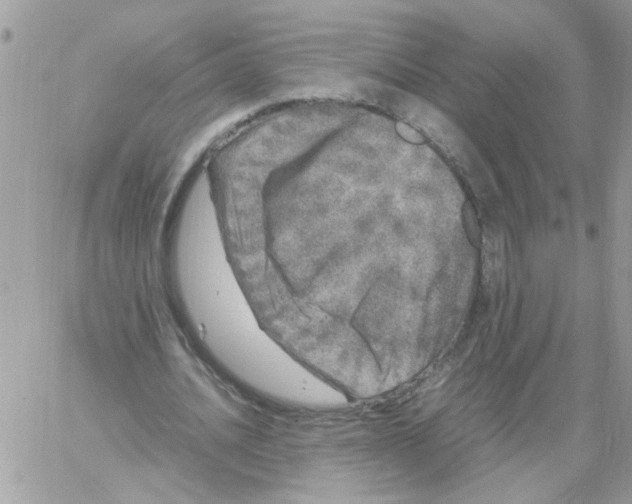 X0000061760628200512302304