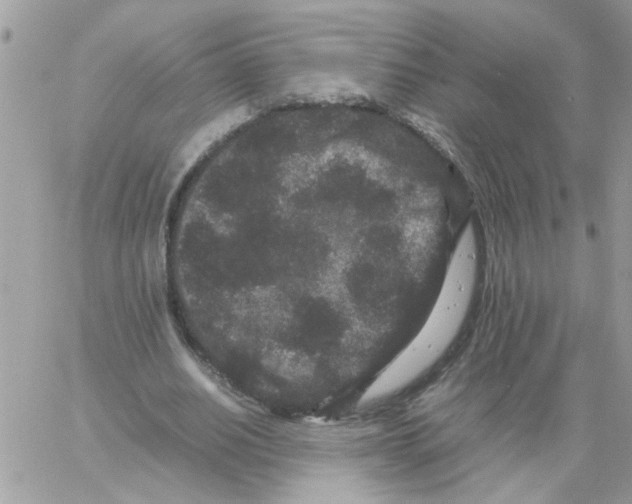 X0000061760630200512302304