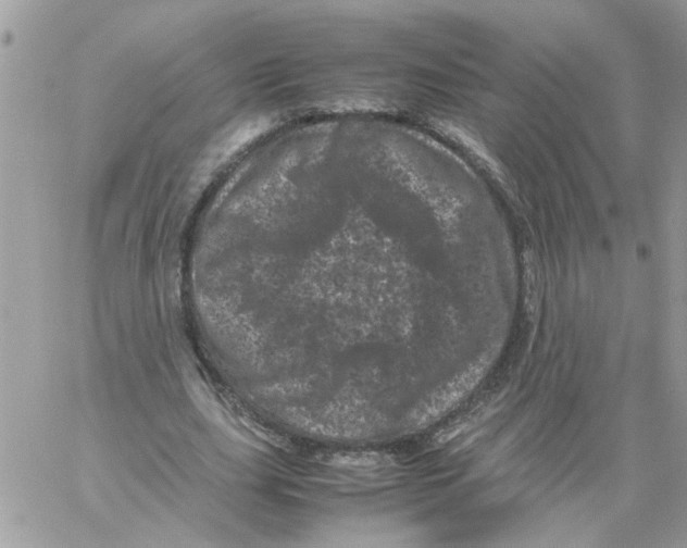 X0000061760631200512302304