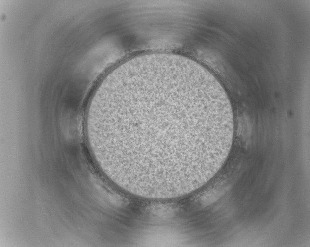 X0000061760632200512302304