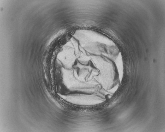 X0000061760634200512302304