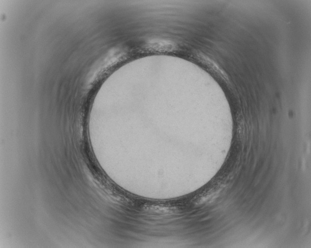 X0000061760635200512302304