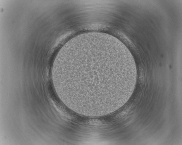 X0000061760636200512302304