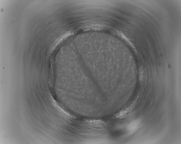 X0000061760637200512302304