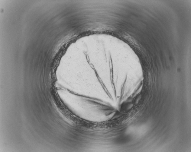 X0000061760638200512302304