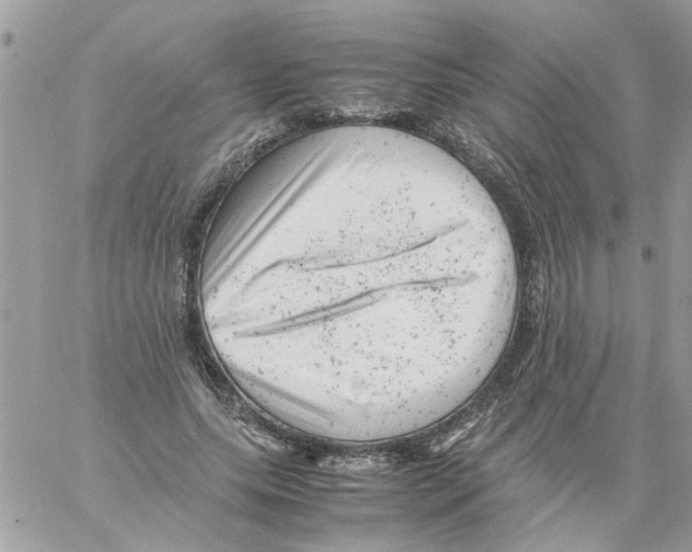 X0000061760639200512302304