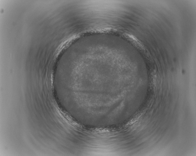 X0000061760640200512302304