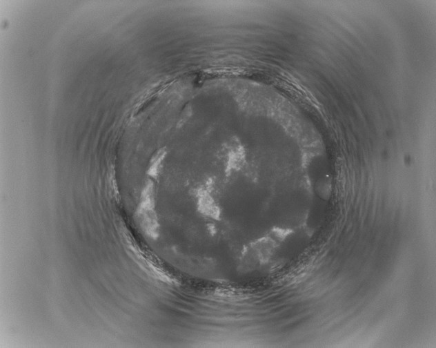 X0000061760641200512302304