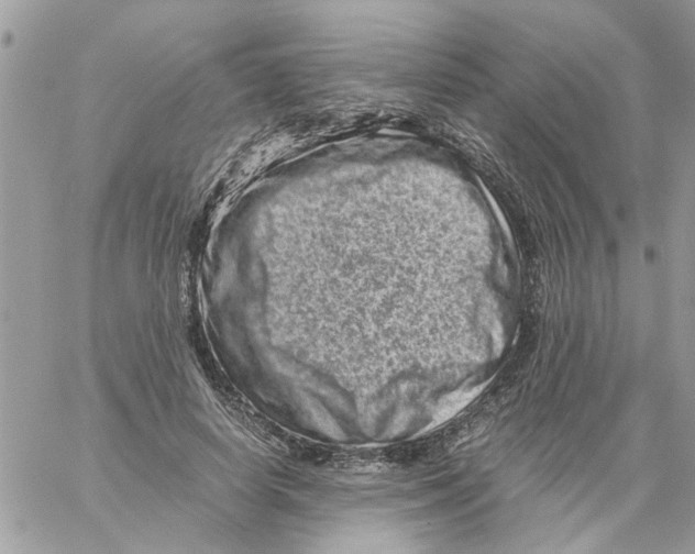 X0000061760642200512302304