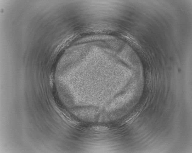 X0000061760644200512302304