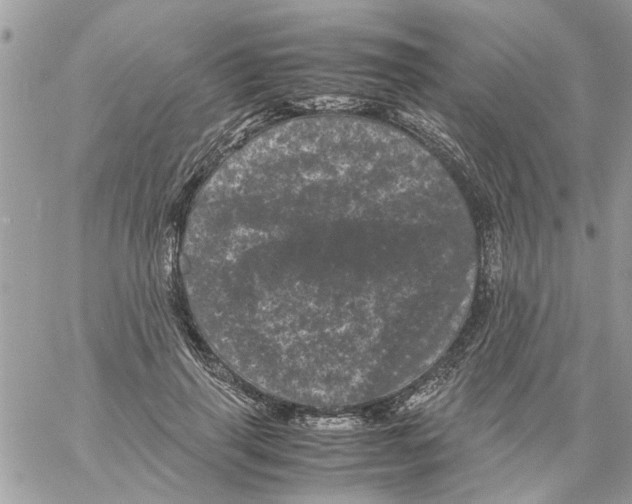 X0000061760645200512302304