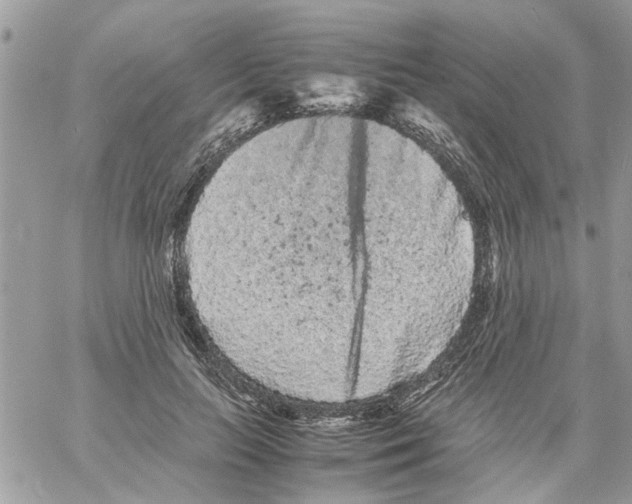 X0000061760647200512302305