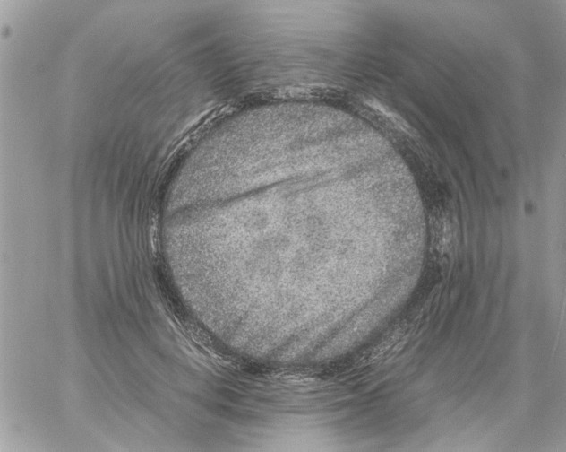 X0000061760648200512302305