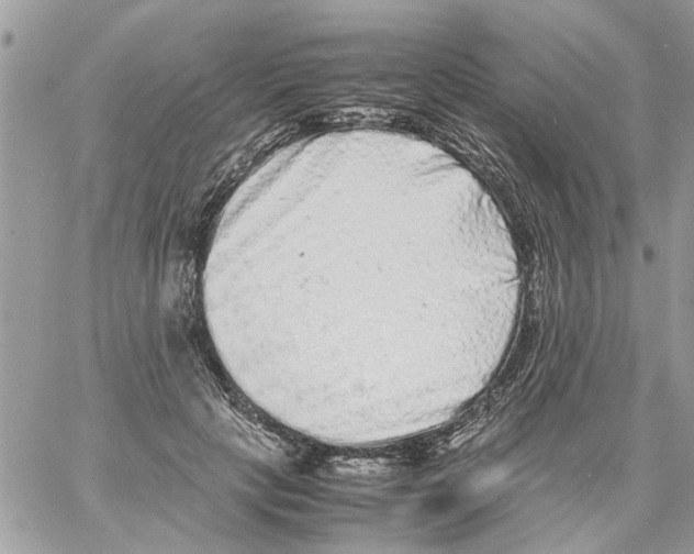 X0000061760649200512302305