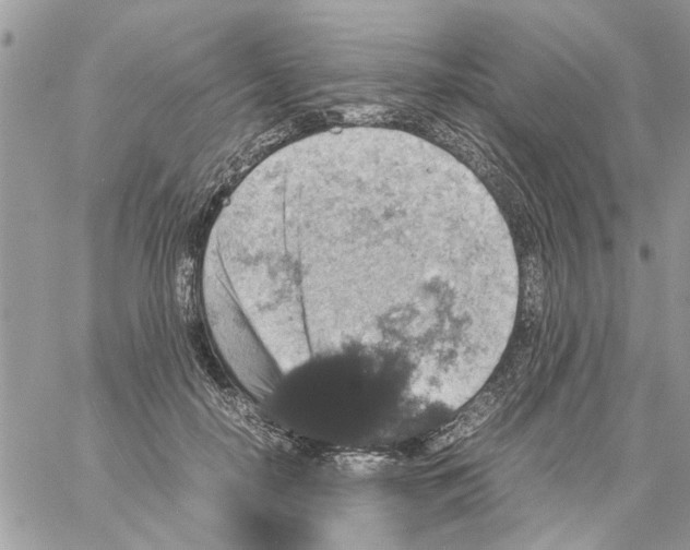 X0000061760650200512302305