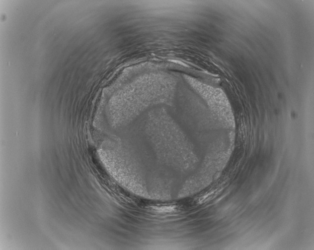 X0000061760651200512302305