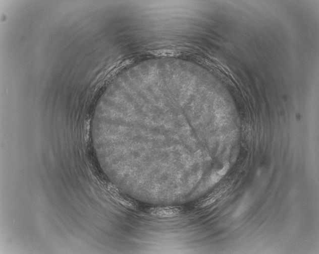 X0000061760652200512302305