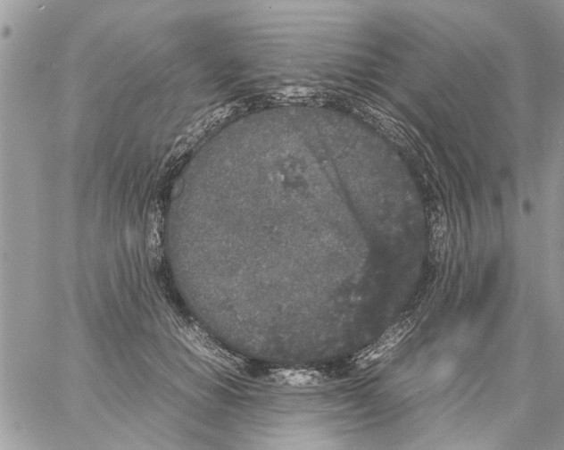 X0000061760654200512302305