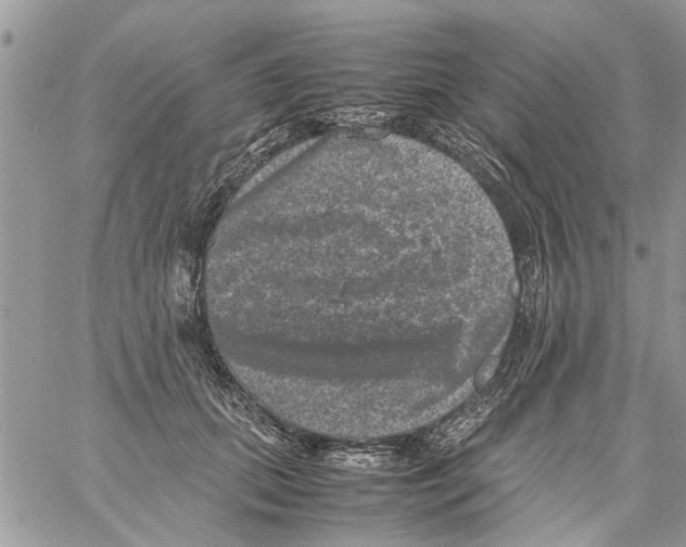 X0000061760655200512302305