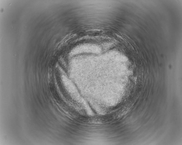 X0000061760656200512302305